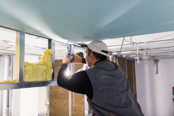 Insulation Inspection Services in New Bern, NC
