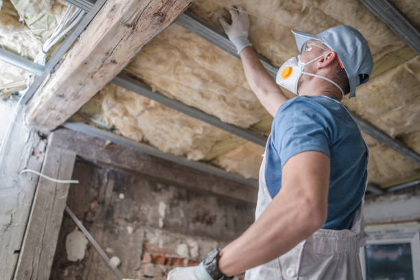 Best Insulation Contractors for Homes  in New Bern, NC