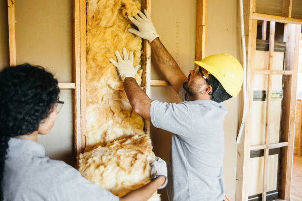 Best Best Insulation Companies  in New Bern, NC