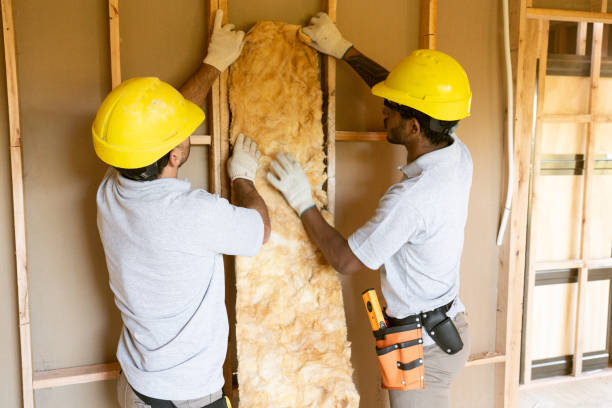 Best Attic Insulation Installation  in New Bern, NC