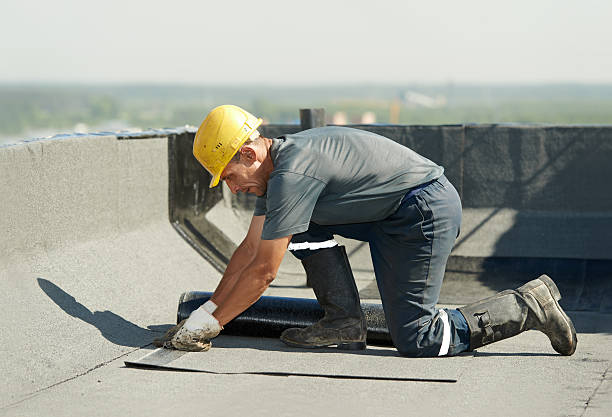 Best Insulation Repair Services  in New Bern, NC