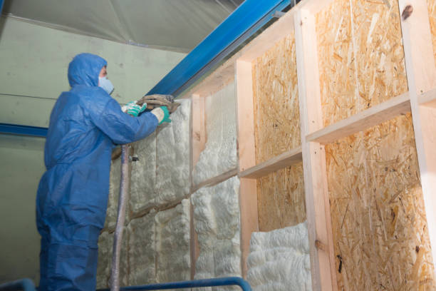 Best Crawl Space Insulation  in New Bern, NC