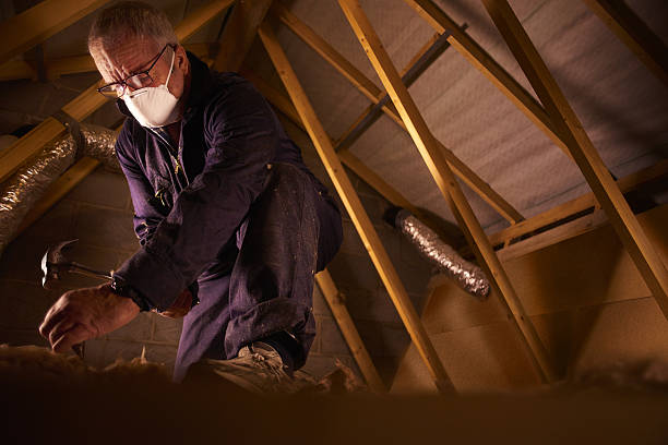 Best Cellulose Insulation  in New Bern, NC